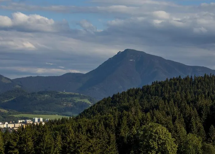 Kubinska 33 * 돌니 쿠빈